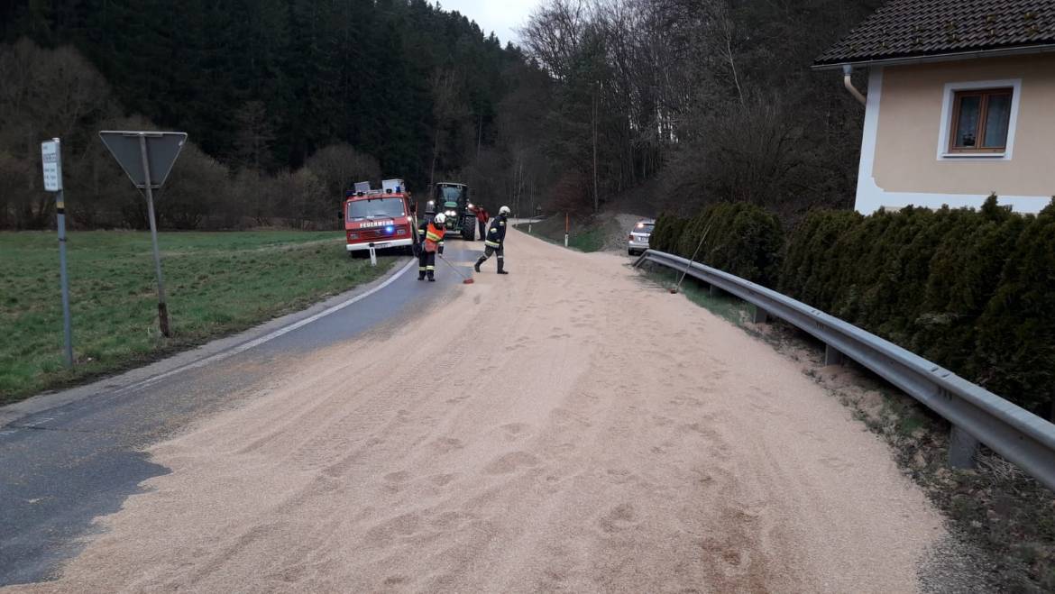 Technischer Einsatz klein (12.03.2019)
