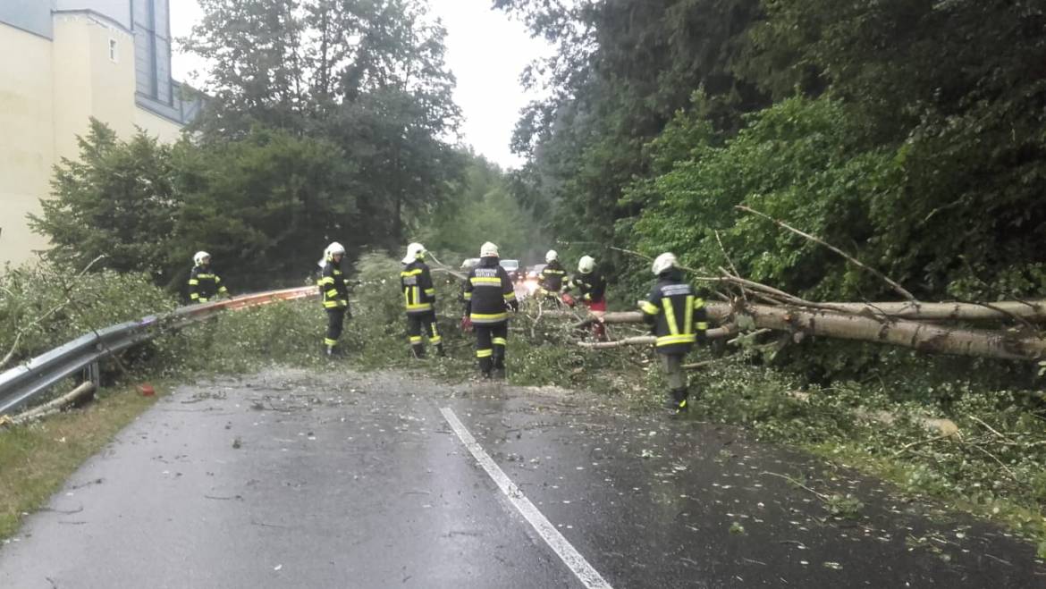 Sturmschäden (01.07.2019)