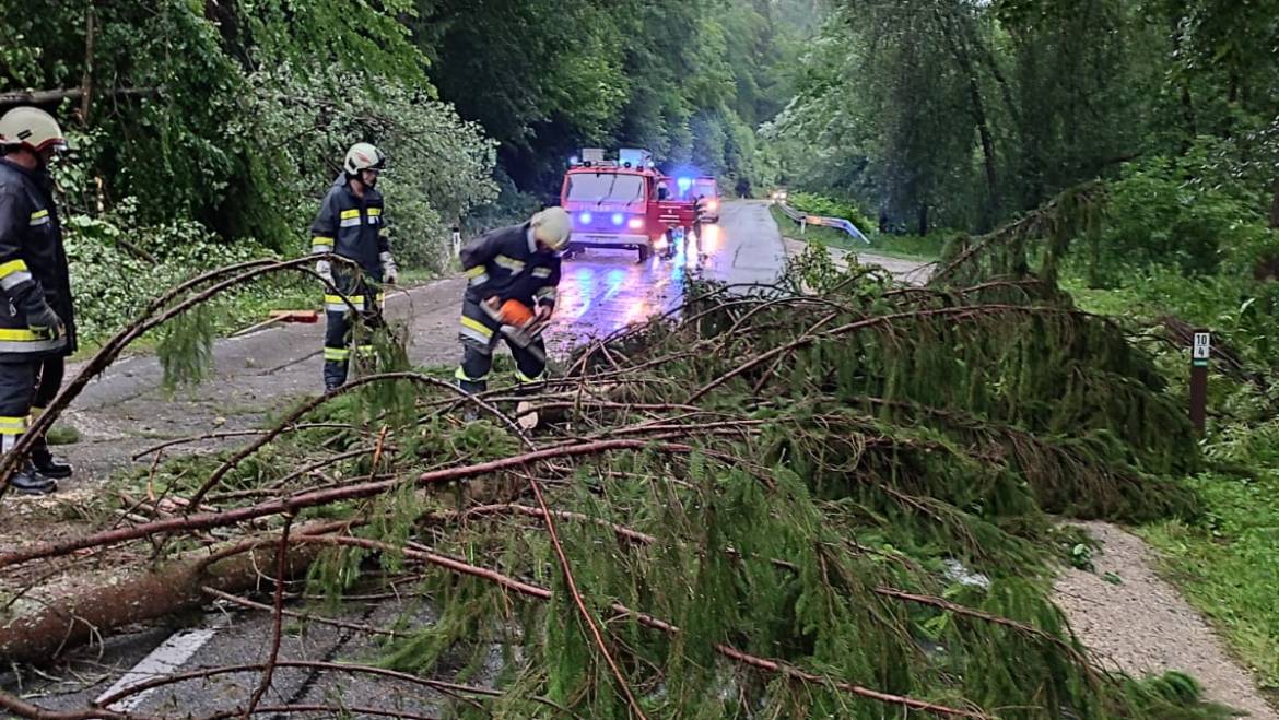 Sturmschaden (29.06.2022)