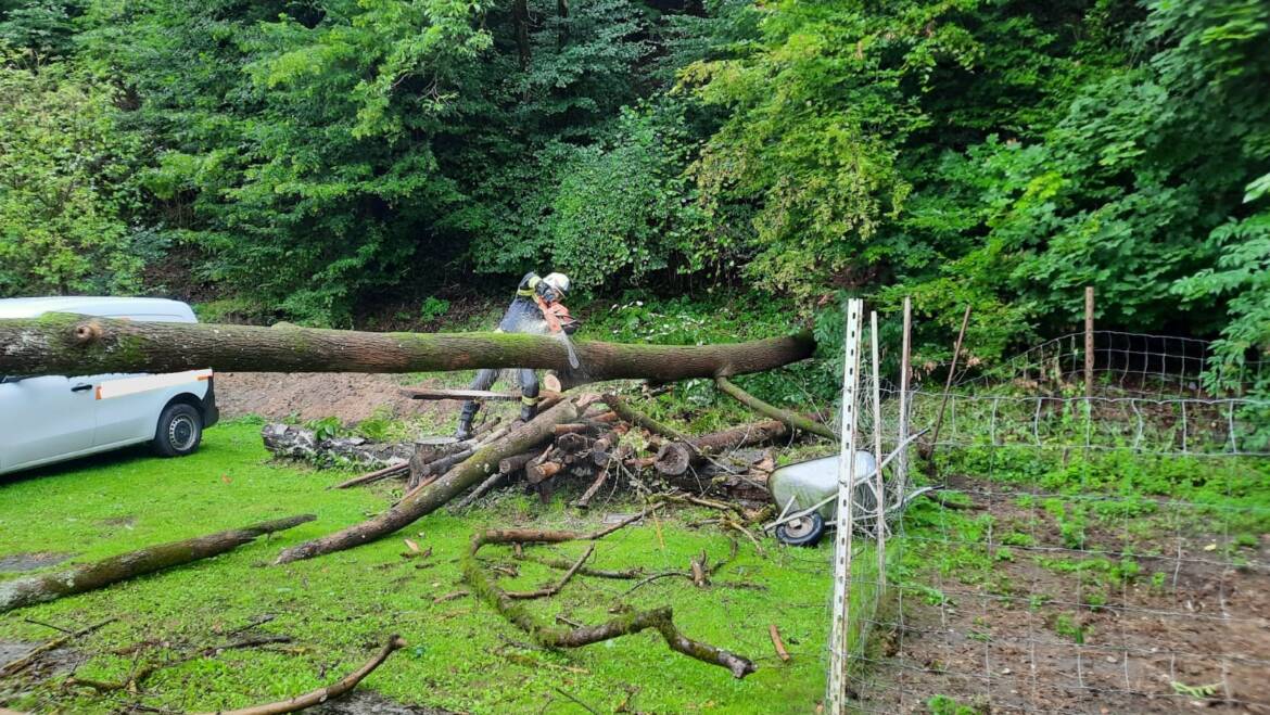 Sturmschaden (06.08.2023)