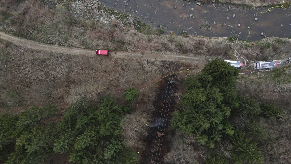 Brand Wald (25.03.2026)