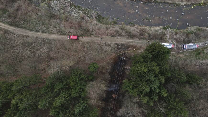 Brand Wald (25.03.2026)