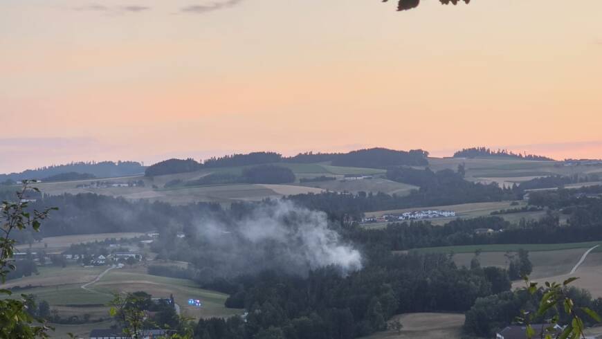 Waldbrand (14.07.2026)