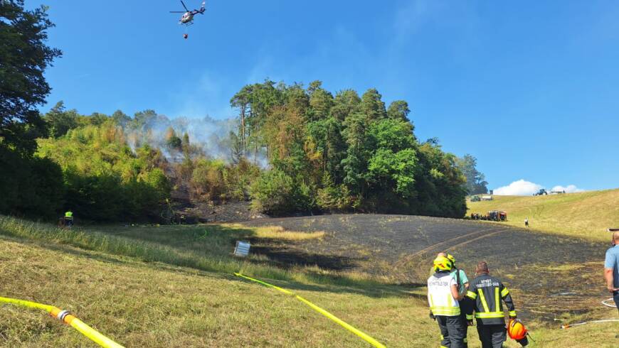 Brand Wald (01.08.2026)
